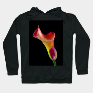 Wavy Colorful Calla lily Hoodie